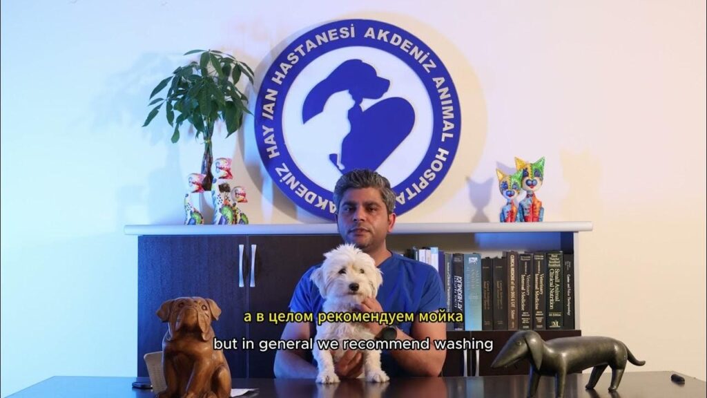 akdeniz hayvan hastanesi