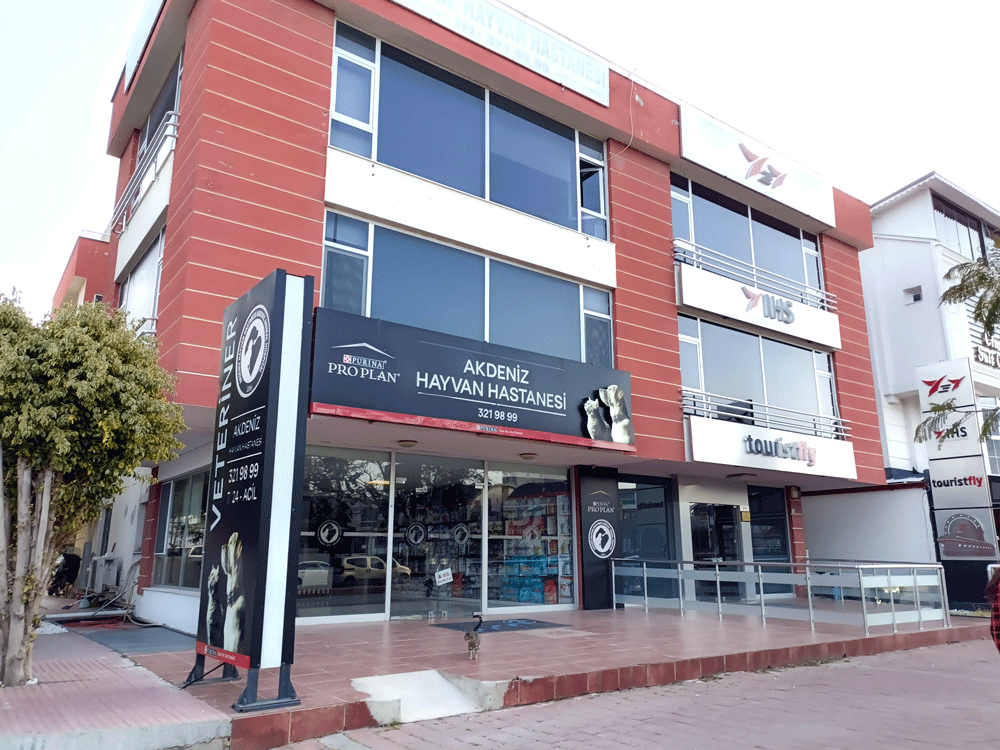 akdeniz hayvan hastanesi