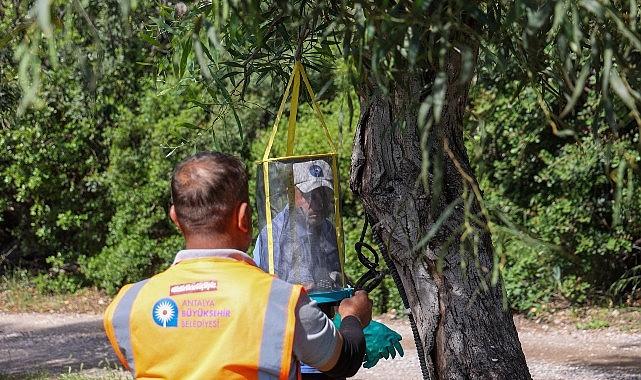antalya-buyuksehir-belediyesinden-sarisu-kadinlar-plajinda-yeni-sezon-hazirliklari-T8cwKTEv.jpg