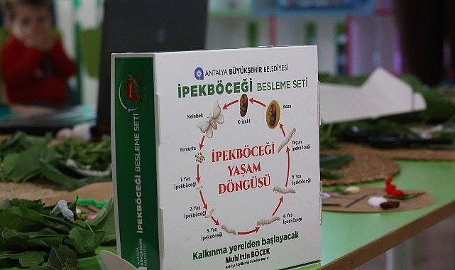 antalya-buyuksehir-belediyesinin-ipek-bocekciligi-calismalariyla-dogaya-ve-egitime-katkisi-QhcpARfY.jpg